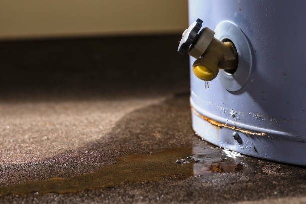Best Residential water damage restoration  in Kaumakani, HI