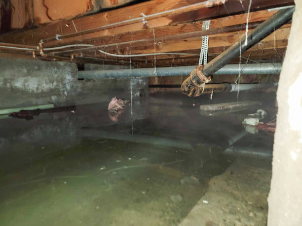 Trusted HI Water damage restoration Experts