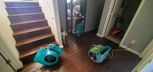 Carpet water damage restoration in HI
