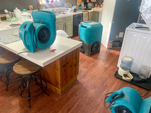 Best Carpet water damage restoration  in Kaumakani, HI