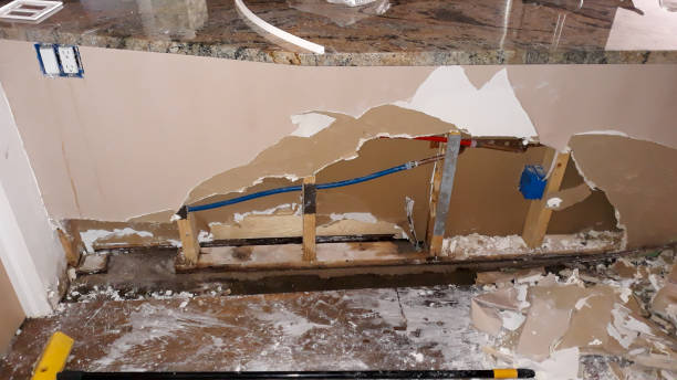 Best Water damage restoration near me  in Kaumakani, HI