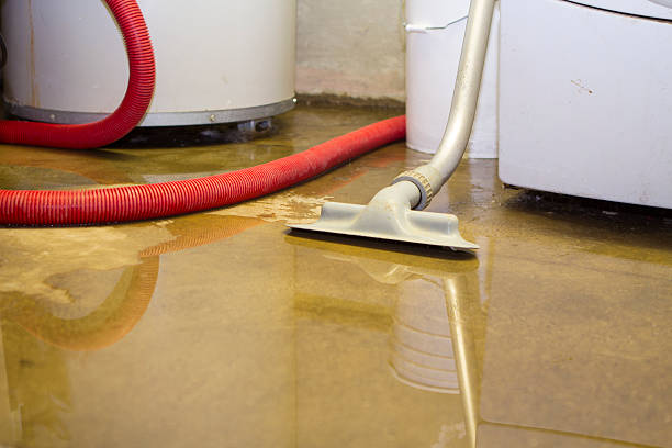 Professional Water damage restoration in HI