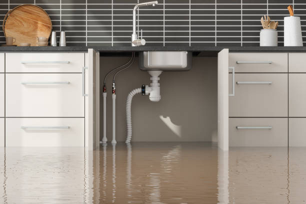 Best Flood restoration services  in Kaumakani, HI