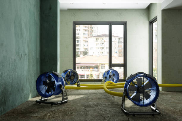 Best Commercial water damage restoration  in Kaumakani, HI